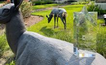 Woodtrace by Friendswood Development Company Named Best Overall Community by Texas Association of Builders